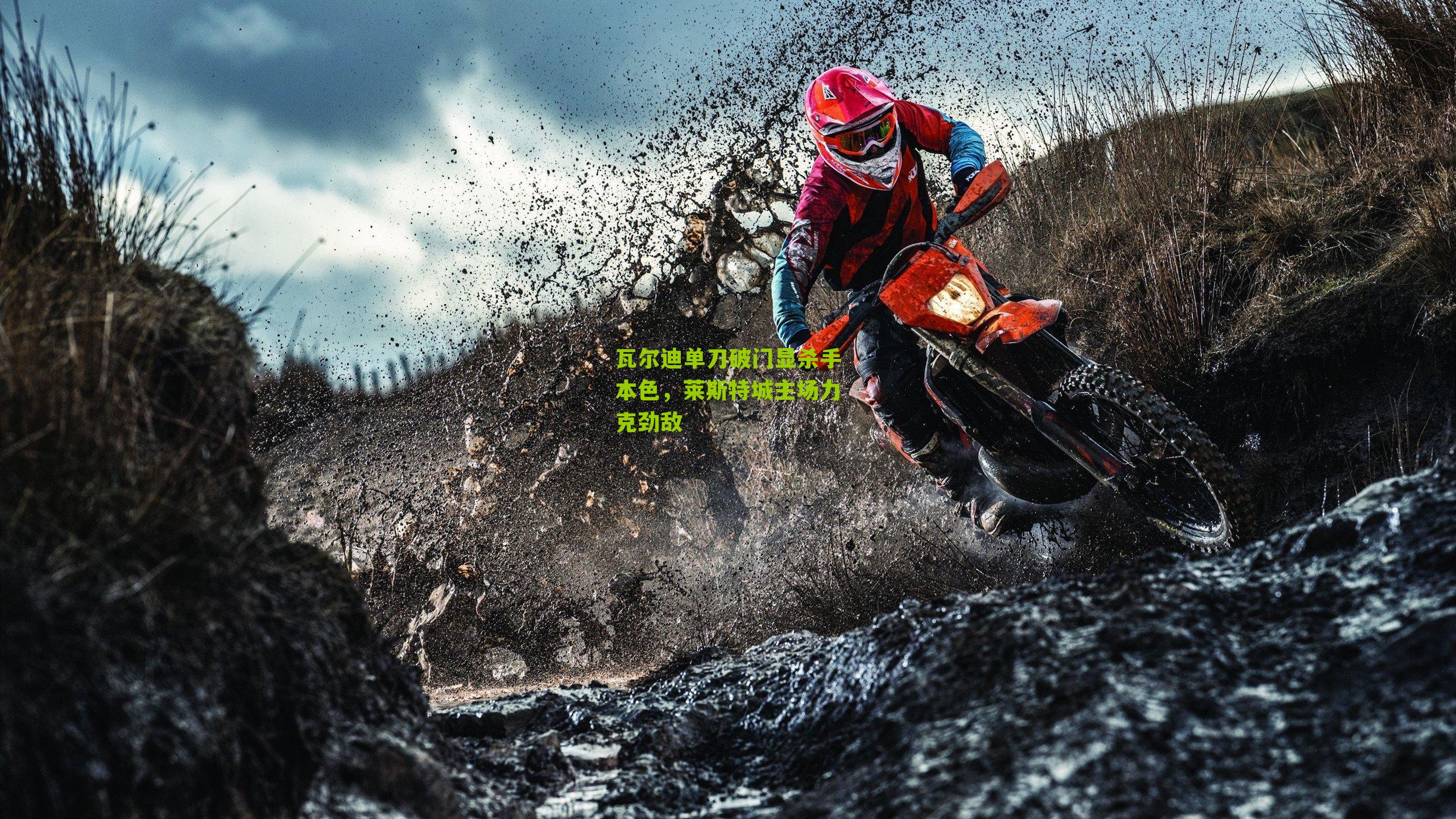 瓦尔迪单刀破门显杀手本色,莱斯特城主场力克劲敌